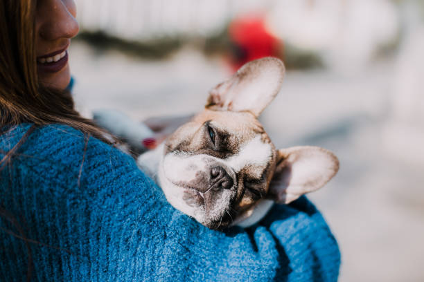 istock Warm embrace of your pet 918308612