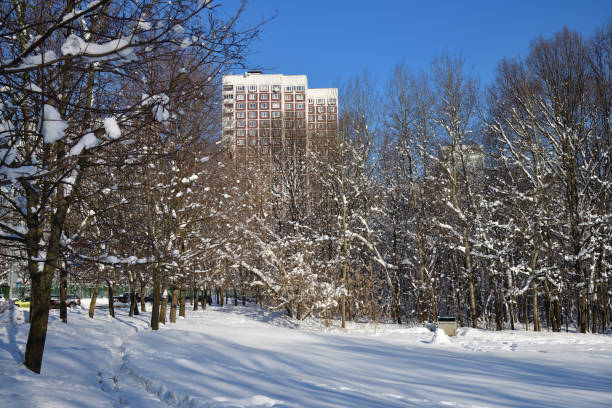 Gomel, Belarus. Panorama Of Rumyantsev-paskevich Palace In Snowy City Park. Winter Season. Sunny Winter Day