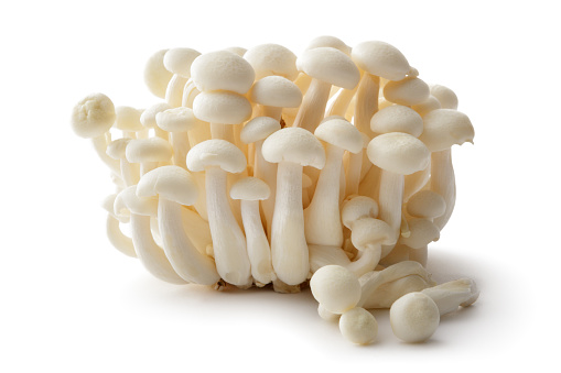 Mushrooms: Enoki Mushrooms Isolated on White Background