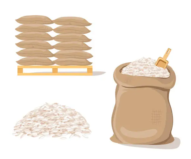 Vector illustration of Bags on Pallet. Sack with Pile of  Rice