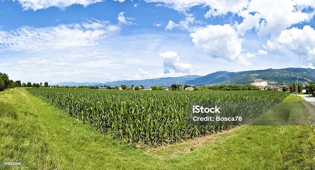 Vista ampla por montanhas dos Alpes - Foto de stock de Campo royalty-free