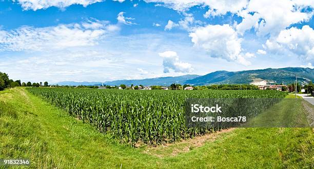 Foto de Vista Ampla Por Montanhas Dos Alpes e mais fotos de stock de Campo - Campo, Espiga de Milho, Itália