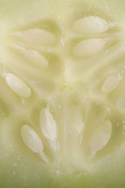 istock Fresh cucumber slice taken closeup suitable as food background 918325514