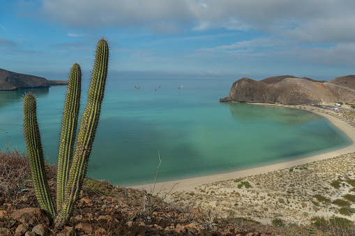 A beautiful and breathtaking Balandra Beach on the Gulf of California near La Paz Mexico on Baja California Sur.