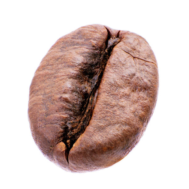 istock Macro of roasted coffee bean isolated on white background 918334678