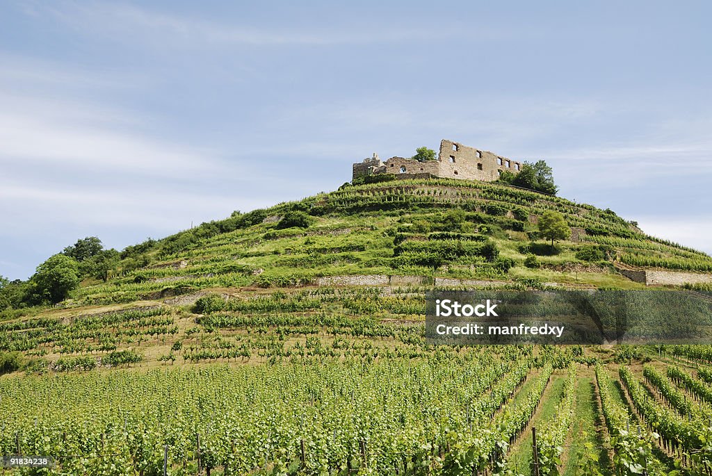 Castelo em uma vinícola - Foto de stock de Agricultura royalty-free