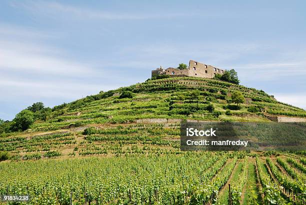 Foto de Castelo Em Uma Vinícola e mais fotos de stock de Agricultura - Agricultura, Alemanha, Antigo