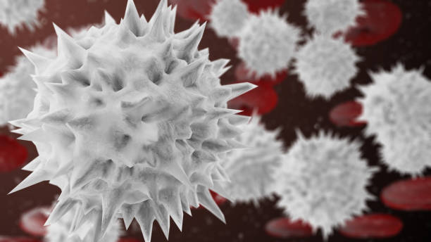 White blood cells leukocytes or leucocytes, protect from infectious disease 3D render Red blood cells transport oxygen to your body's organs and tissues.  white blood cell stock pictures, royalty-free photos & images