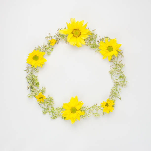 istock round frame wreath pattern with yellow Chrysanthemums and wild flowers on white background with copy space. flat lay top view. 918342690