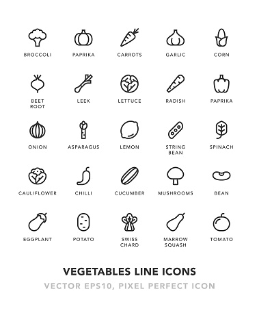 Vegetables Line Icons Vector EPS 10 File, Pixel Perfect Icons.