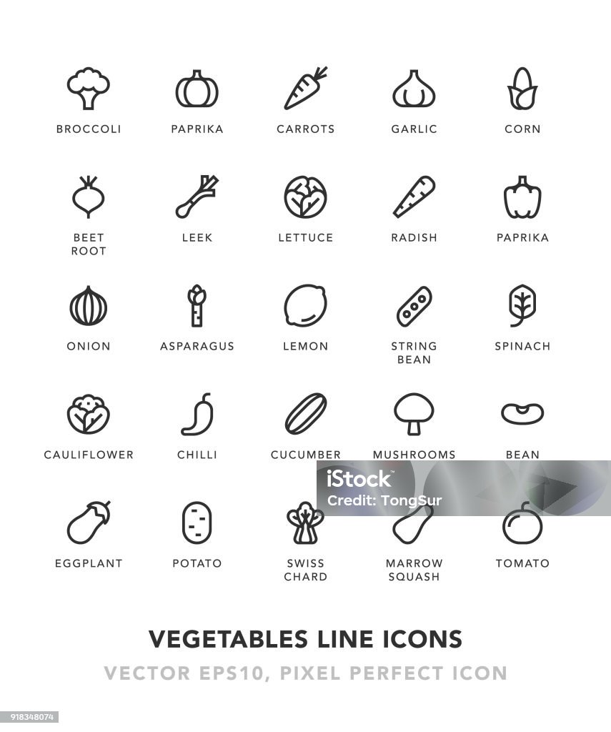 Vegetables Line Icons Vegetables Line Icons Vector EPS 10 File, Pixel Perfect Icons. Icon Symbol stock vector