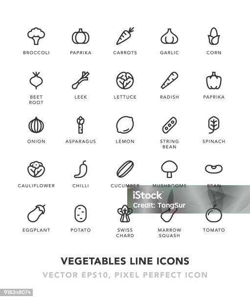 Vegetables Line Icons Stock Illustration - Download Image Now - Icon Symbol, Spinach, Carrot