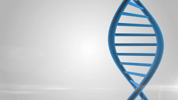 istock CRISPR Cas9 Genetic manipulation DNA repair mechanisms genetic engineering 918351524