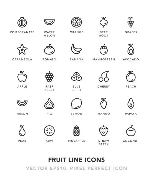 Vector illustration of Fruit Line Icons