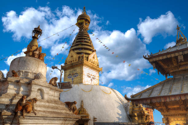 swayambhunath stupa - swayambhunath stock-fotos und bilder
