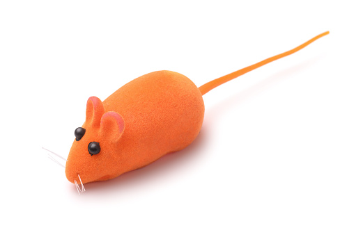 Orange pet toy mouse isolated on white