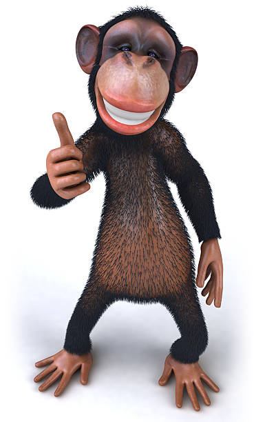 203 Monkey Thumbs Up Stock Photos, Pictures & Royalty-Free Images - iStock 203 Monkey Thumbs Up Stock Photos, Pictures & Royalty-Free Images - iStock