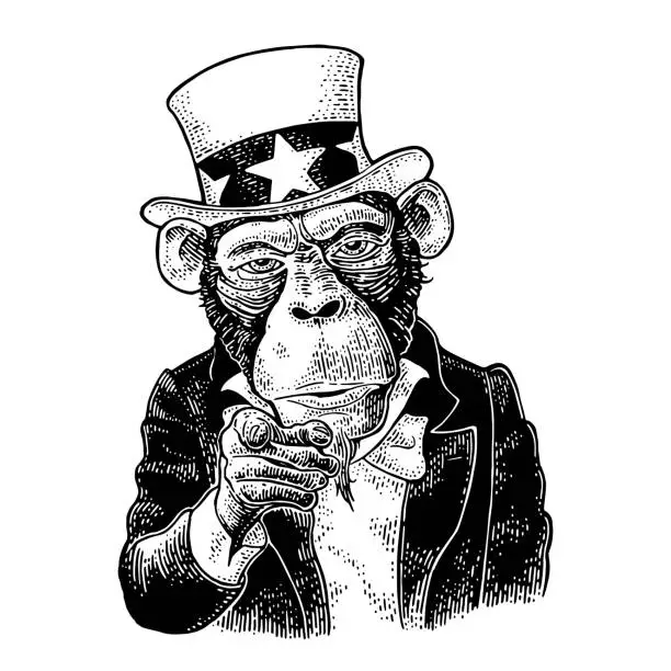 Vector illustration of Monkey Uncle Sam with pointing finger at viewer. Vintage engraving