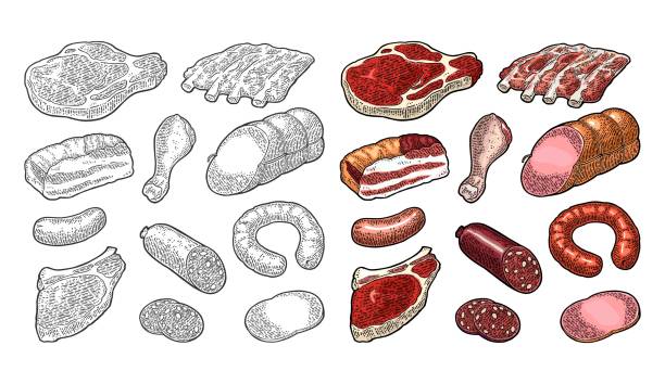 ilustrações, clipart, desenhos animados e ícones de conjunto de produtos de carne. ilustração de gravura vindima vector preto. eu - pig pork ham meat