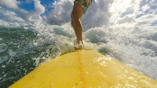 pov imagem de meio envelhecido homem surf na praia - full length one person action australian culture - fotografias e filmes do acervo