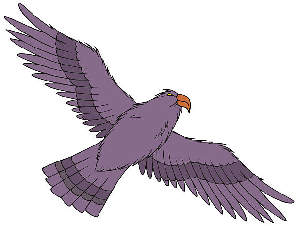 Hawk Eagle Illustrations, Royalty-Free Vector Graphics & Clip Art - iStock