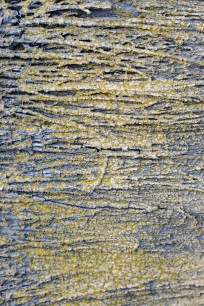istock old dirty concrete grunge  texture abstract background 918391404