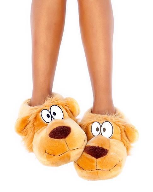 Brown dog character slippers on feet Cozy doggy house shoes on white background. slipper stock pictures, royalty-free photos & images