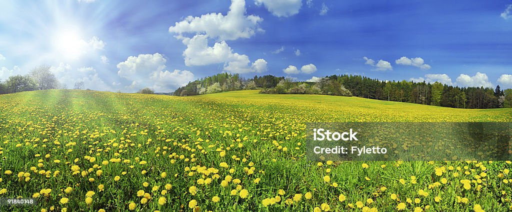 La primavera - Foto stock royalty-free di Agricoltura