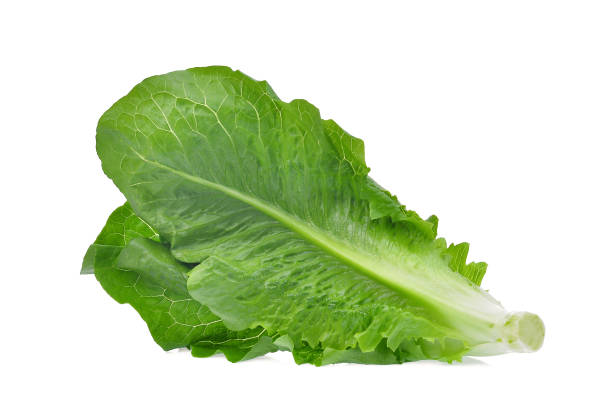 istock fresh baby cos, green lettuce isolated on white background 918402556