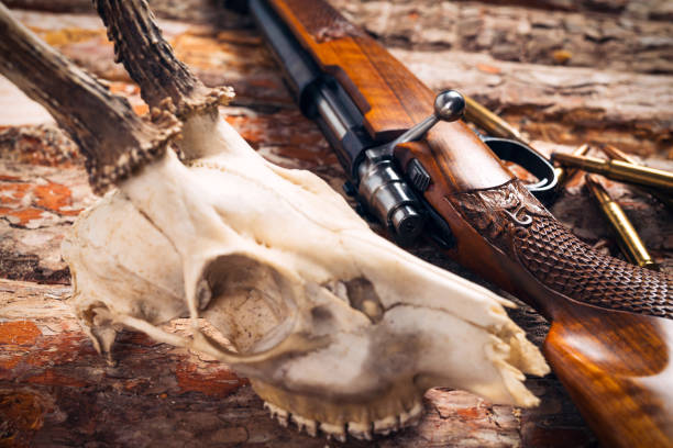 istock Hunting equipment on old wooden background 918403444