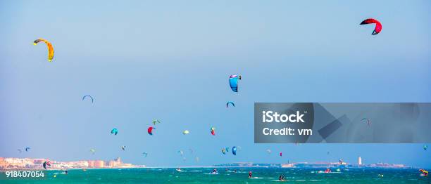 Large Group Of Kitesurfers At Sea Stock Photo - Download Image Now - Active Lifestyle, Adult, Adults Only