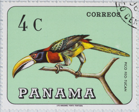 Macaw Pattern Design on Venezuelan Bolivar Currency