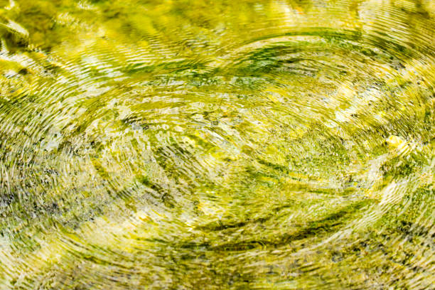 istock Circles on the smooth surface of the water on the river 918414422