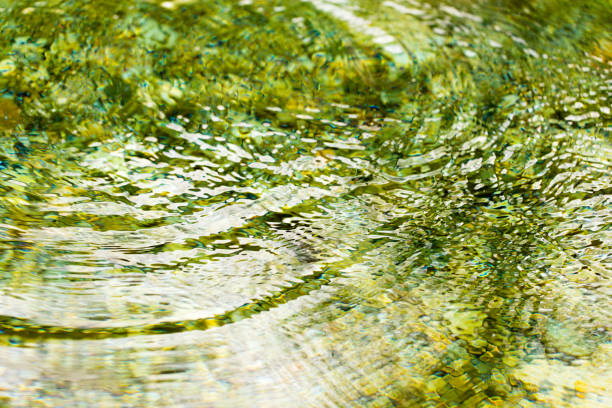 istock Circles on the smooth surface of the water on the river 918414460