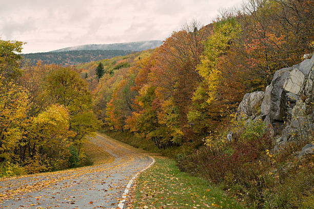 istock Beautiful Autumn Road in Virginia Mountains 91841996