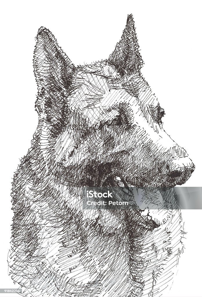 German Schäferhund - Lizenzfrei Cool und Lässig Stock-Illustration