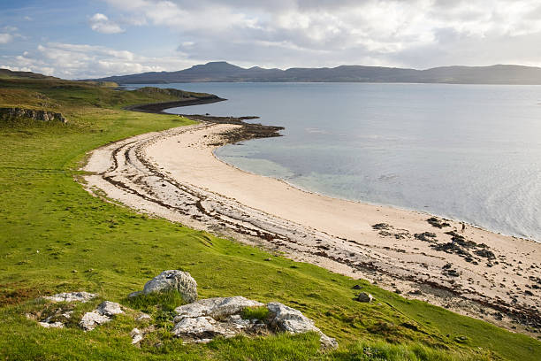 istock Beach line with blue sky, clouds and green grass 91842583
