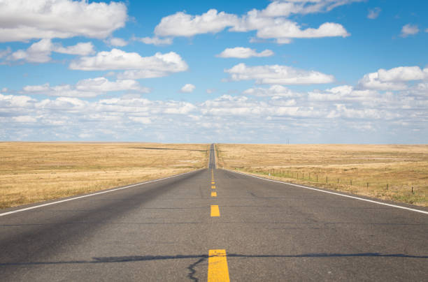 istock Straight Asphalt Road on the Wilderness 918430542