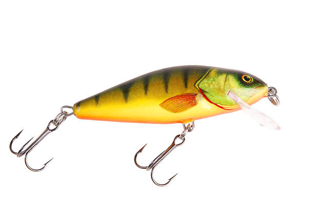 istock Fishing bait wobbler 91843228