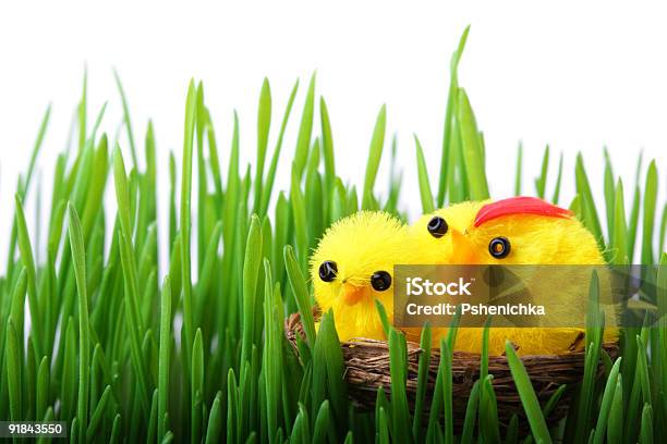 Pascua Pollos En El Césped Foto de stock y más banco de imágenes de Amarillo - Color - Amarillo - Color, Animal, Animal joven