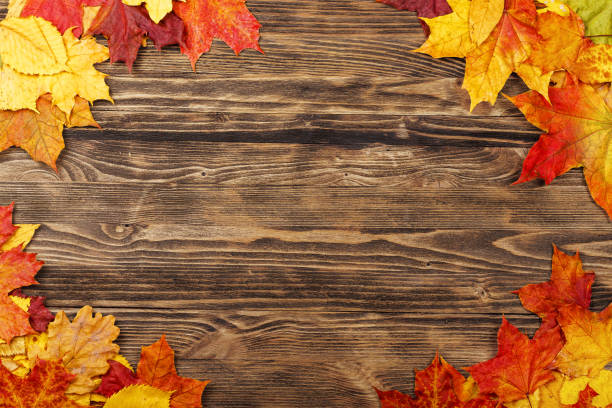 istock Golden maple leaves frame on a brown wooden board 918447588