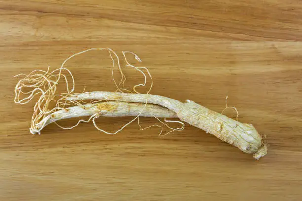 Photo of Closeup of dried Radix Ginseng root (Shin seng) on wooden background