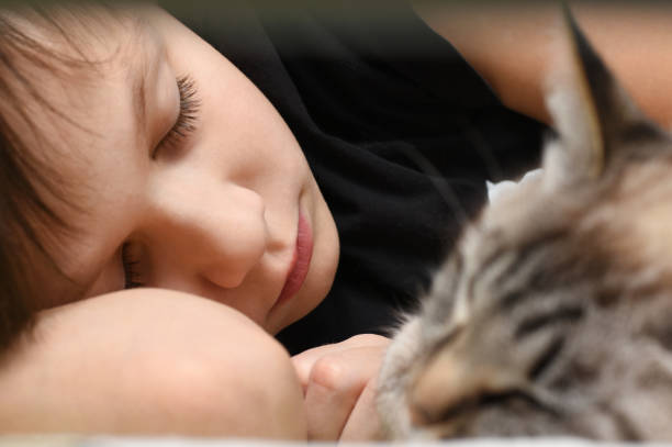 istock A teenager is sleeping on the bed with an animal cat 918448024