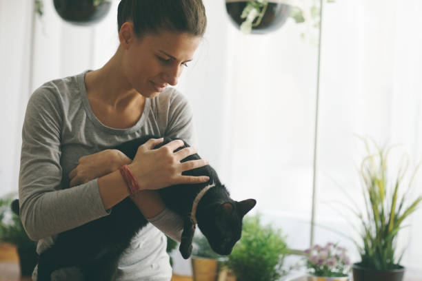 istock Yoga At Home 918450996