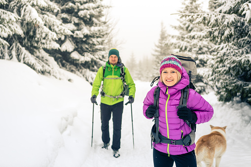 Happy teamwork couple hikers trekking in white winter woods and mountains. Young people walking on snowy trail with backpacks, healthy lifestyle adventure, camping and hiking, Poland.
