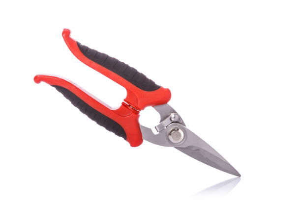 istock New scissor. Studio shot isolated on white 918454700