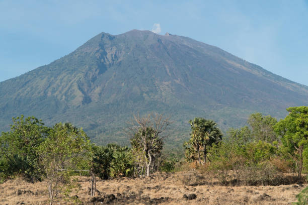 istock View of mountain forest landscape. Bali 918455292