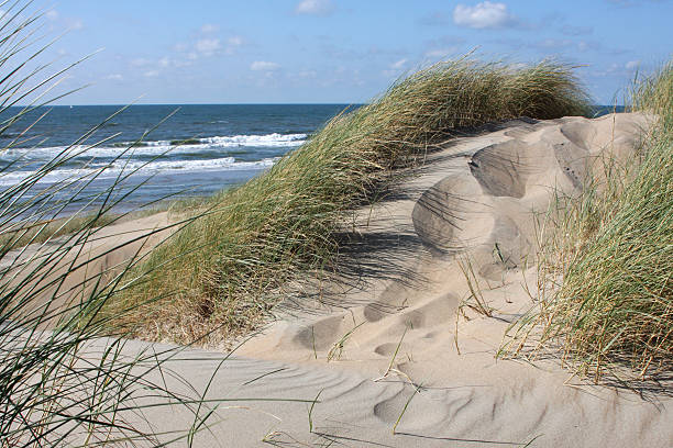 Sand Dune stock photo