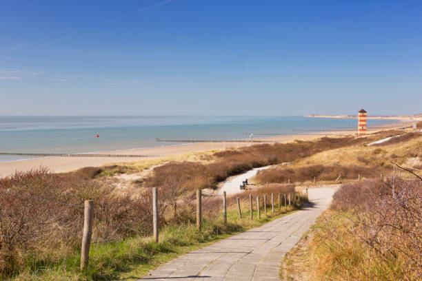 les dunes à dishoek à zeeland, pays-bas - zeeland photos et images de collection