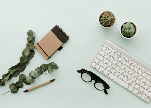 istock Blogger Pastel Background With keyboard, cactus, notebook. Flat lay 918464106
